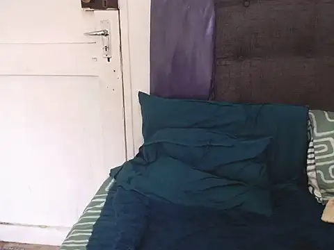 BaselBlues webcam