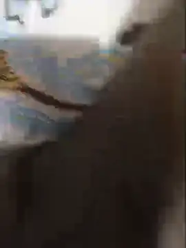 CplAnita