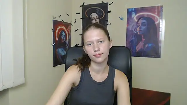 StellaCRL webcam