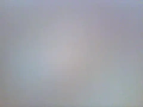BummyVee02