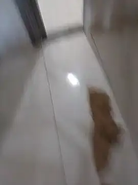 jviciado