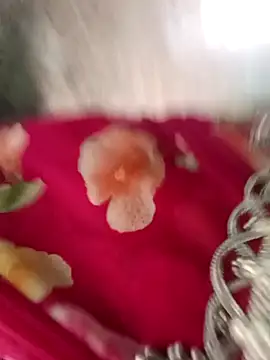 Sasha_Patel