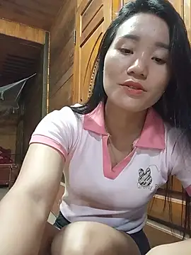 Td3di webcam