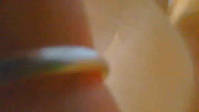 Oynu365