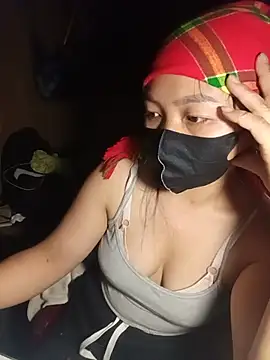 Hiha-nn webcam