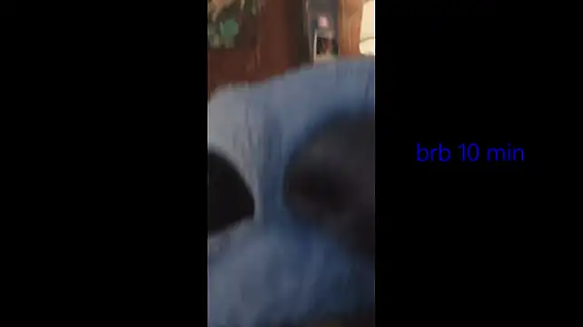 vinkitinkii
