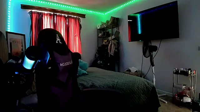 rubix_ts webcam