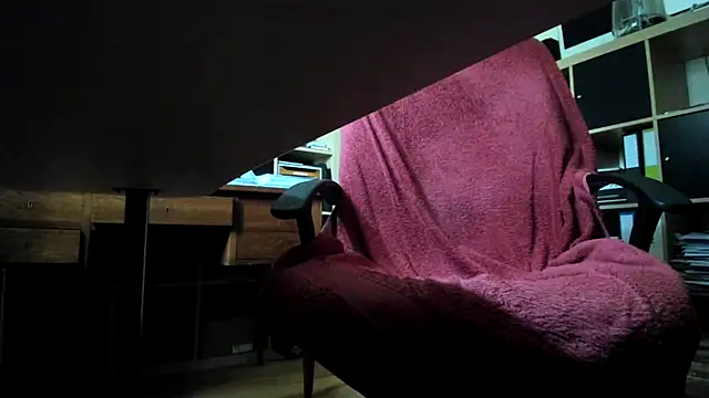 leccaleccafiga webcam