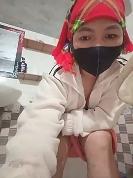 Hiha-nn webcam