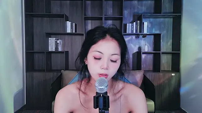 Lanmei01 webcam