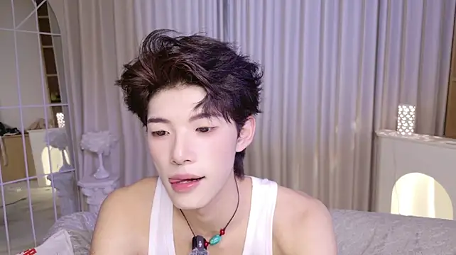 RenZeng webcam