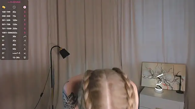MaireLanda webcam