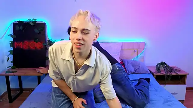 DianInav webcam