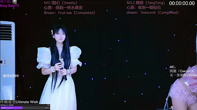CCTW-100 webcam