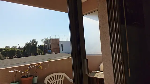 panda_06200 webcam