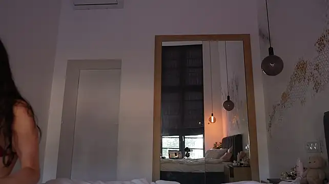 ibiddi webcam