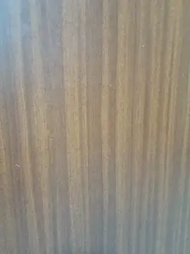 Cute_Kavya7