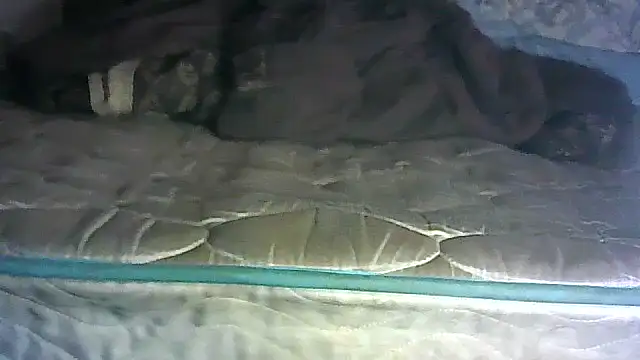 SINC3R3LY_FIR3 webcam