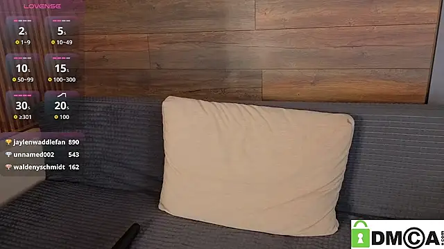 pizza_pepperonii webcam