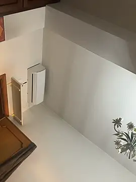 Pol8888 webcam
