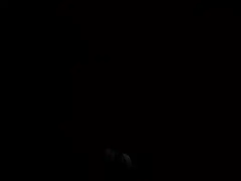 Lily_byb