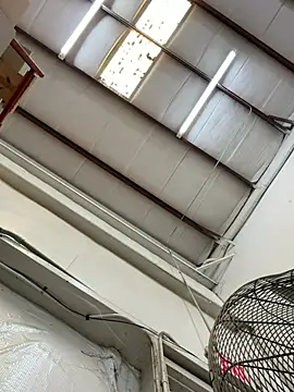 WavyAlloy30 webcam