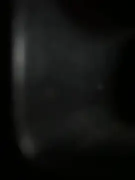Badooer