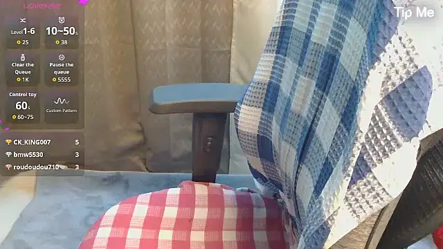 punemodel