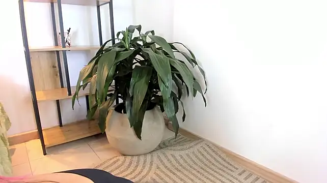 AliiceWonderland_ webcam