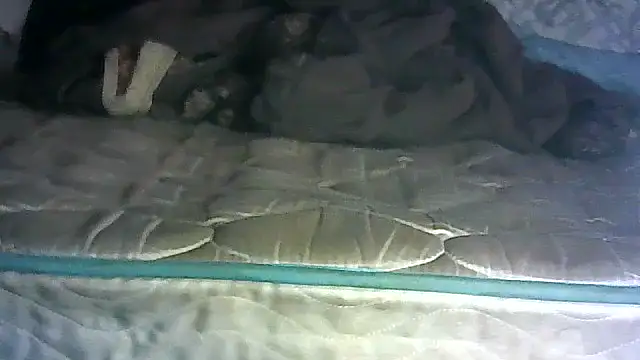SINC3R3LY_FIR3 webcam