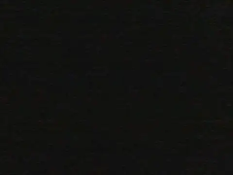 shugabaibe webcam