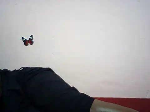 Hot_booty1 webcam