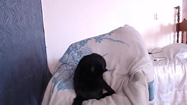 Freyja_eter