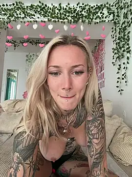 Stella-Kink webcam