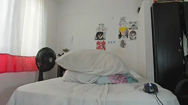 SonSett webcam