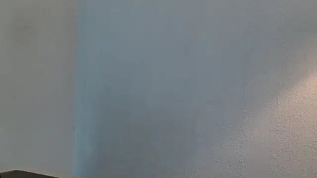 desiree1981 webcam