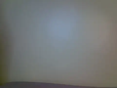 moonlightwonder webcam