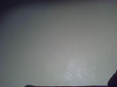 Birdie_girl1 webcam