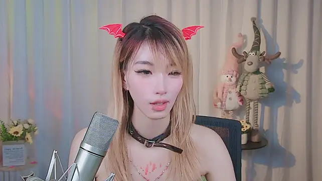 nice-anan webcam