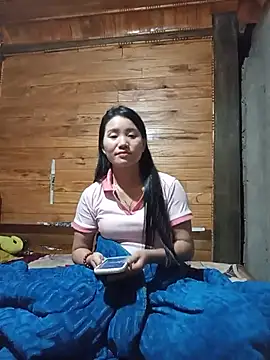 Td3di webcam