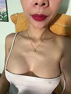 Pu688 webcam