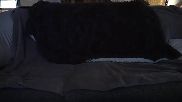 DxnkeyDxng live sex cam