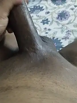 desi_pb02