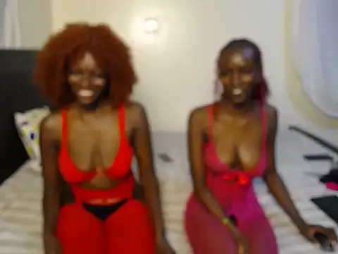 DollyCookie webcam