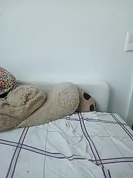 -NovaBlue- webcam