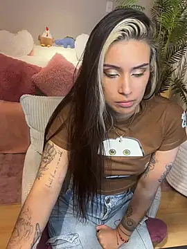 la_monitora webcam