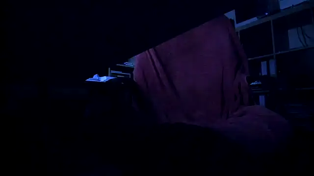 leccaleccafiga webcam