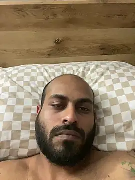 islandvybee55
