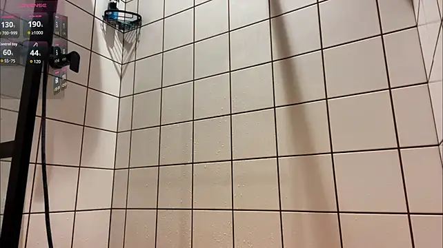 NikiLeino