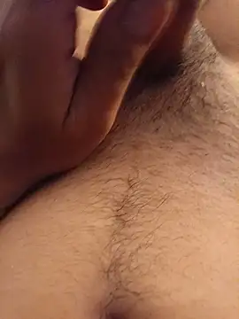 Amdy29
